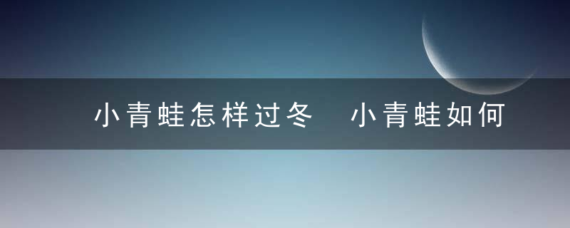 小青蛙怎样过冬 小青蛙如何过冬